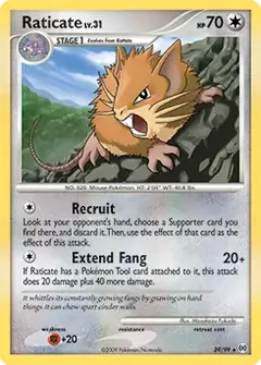 Raticate 29