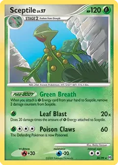 Sceptile 30