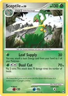 Sceptile 31