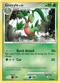 Grovyle 39