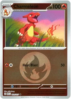 Charmeleon Energy Symbol Pattern 021