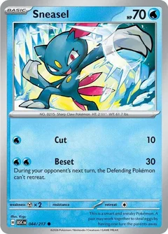 Sneasel 044