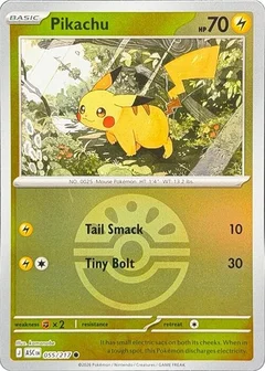 Pikachu Friend Ball 055