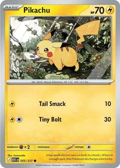 Pikachu 055