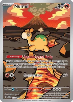 Numel 223
