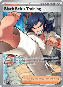 Black Belt's Training 255