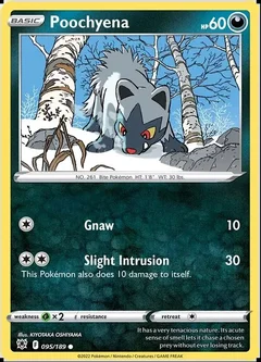 Poochyena 095