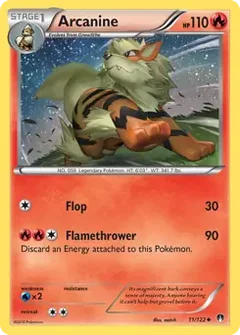 Arcanine 11