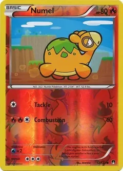 Numel Reverse Holo 12