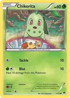 Chikorita 1