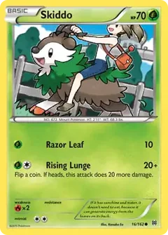 Skiddo 16