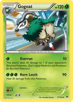 Gogoat 17