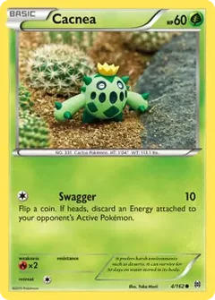 Cacnea 4
