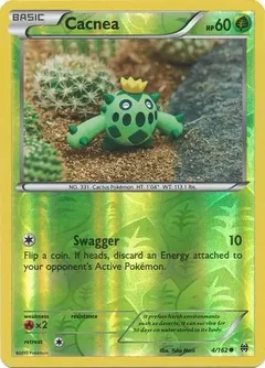 Cacnea Reverse Holo 4
