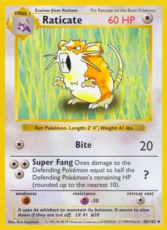 Raticate 40