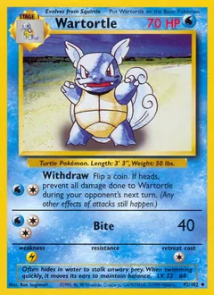 Wartortle 42