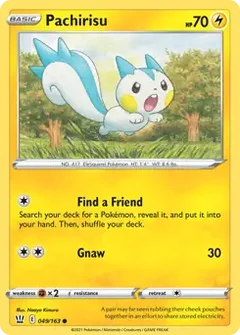 Pachirisu 049