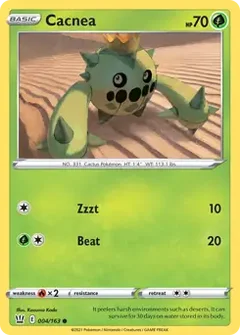 Cacnea 004