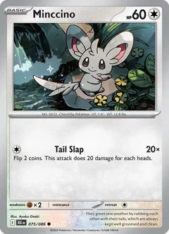 Minccino 075