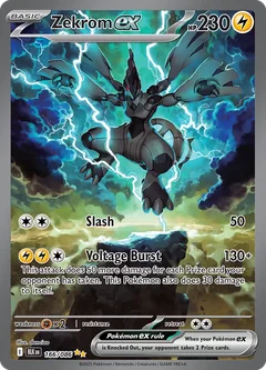 Zekrom 166