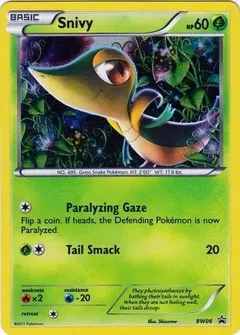 Snivy BW06