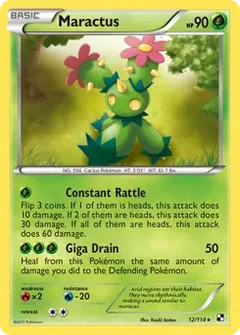 Maractus 12