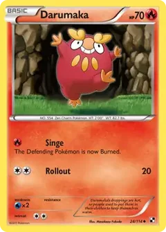 Darumaka 24