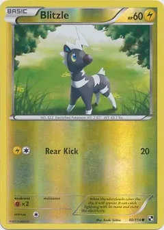 Blitzle Reverse Holo 40