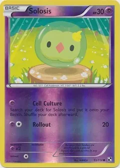 Solosis Reverse Holo 55