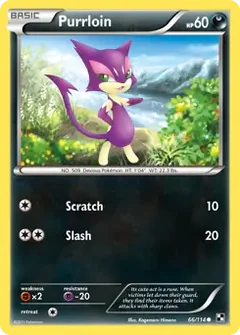 Purrloin 66