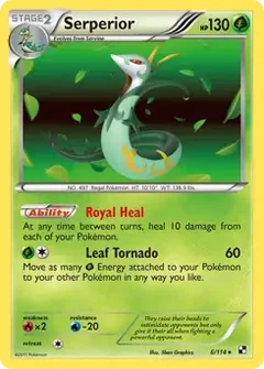 Serperior Holo 6