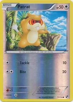 Patrat Reverse Holo 77