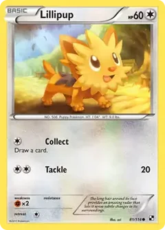 Lillipup 81