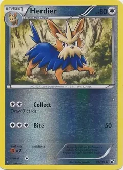 Herdier Reverse Holo 82