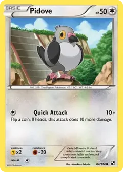 Pidove 84