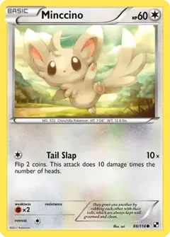 Minccino 88