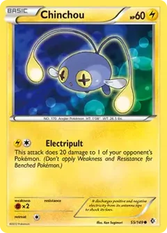 Chinchou 55