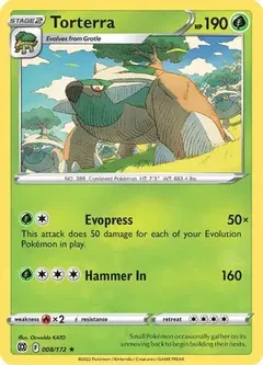 Torterra 008