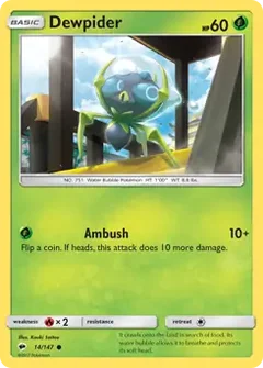 Dewpider 14