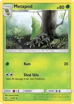 Metapod 2