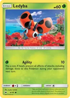 Ledyba 9