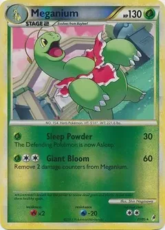 Meganium Reverse Holo 27