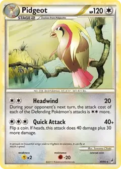 Pidgeot 30