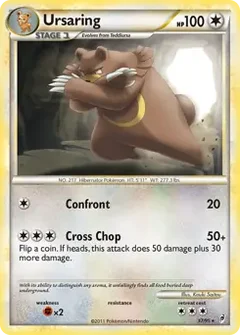 Ursaring 37