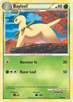 Bayleef 40
