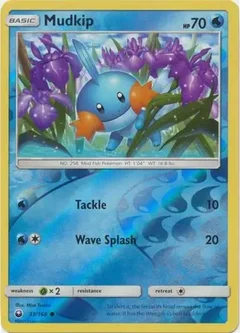 Mudkip Reverse Holo 33