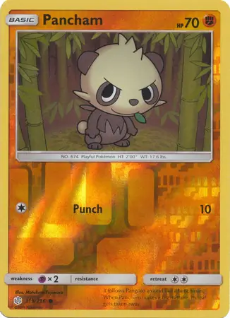 Pancham Reverse Holo