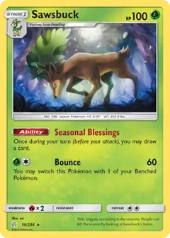 Sawsbuck 16