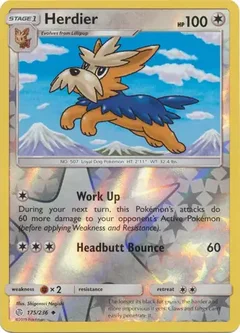 Herdier Reverse Holo 175