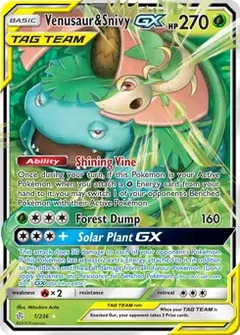 Venusaur & Snivy GX 1